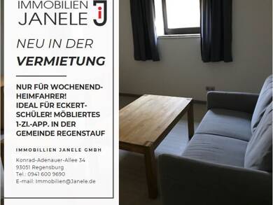 Studio zur Miete 270 € 1 Zimmer 32 m² Souterrain frei ab sofort Diesenbach Regenstauf 93128