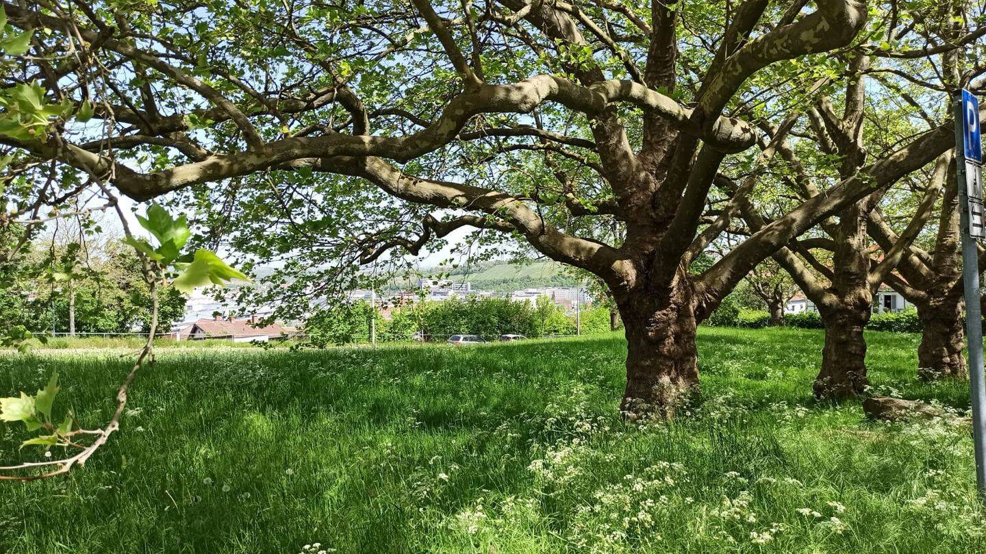 Property thumbnail 23