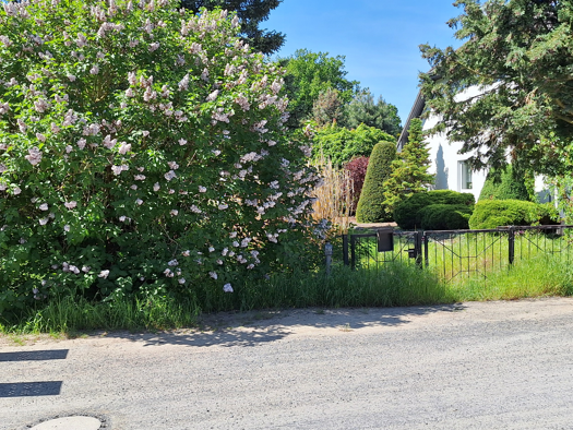 Grundstück zum Kauf 500.000 € 1.626 m² Grundstück Schönwalde-Siedlung Schönwalde-Glien 14621