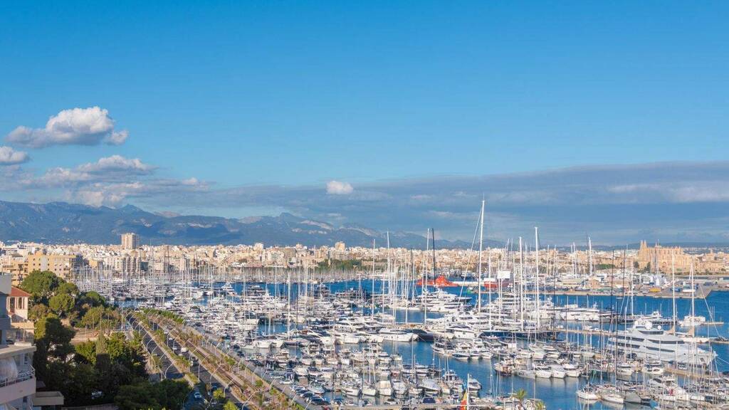 Wohnung zum Kauf 370.000 € 3 Zimmer 58 m² 13. Geschoss Palma 07015