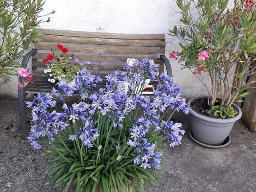 Haus zum Kauf 250.000 € 2.800 m² Grundstück Obbach Euerbach 97502