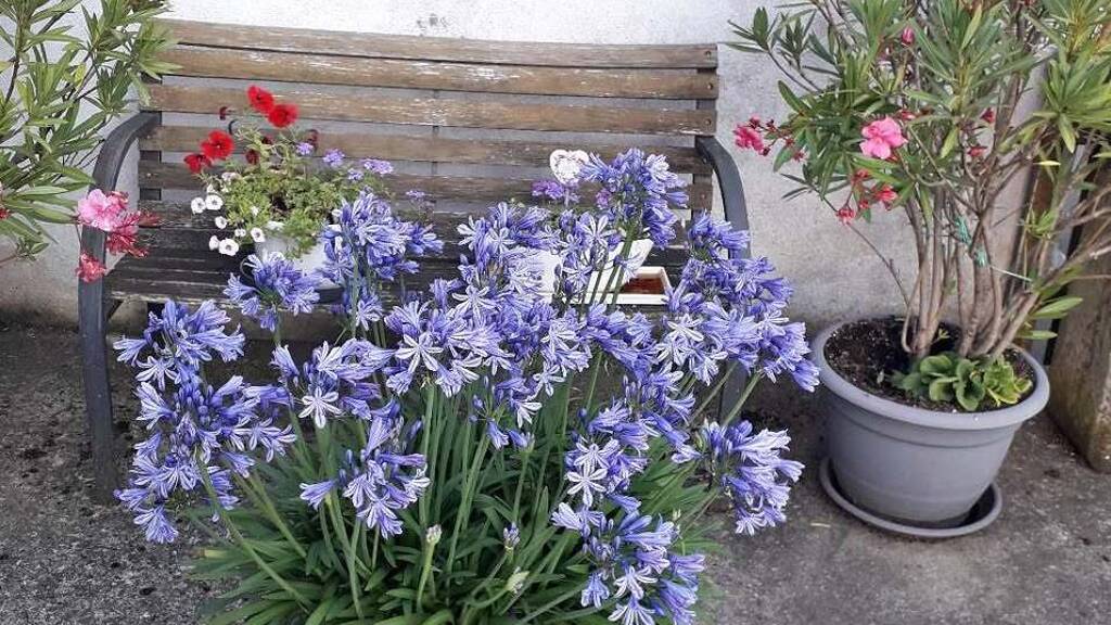 Haus zum Kauf 250.000 € 2.800 m² Grundstück Obbach Euerbach 97502