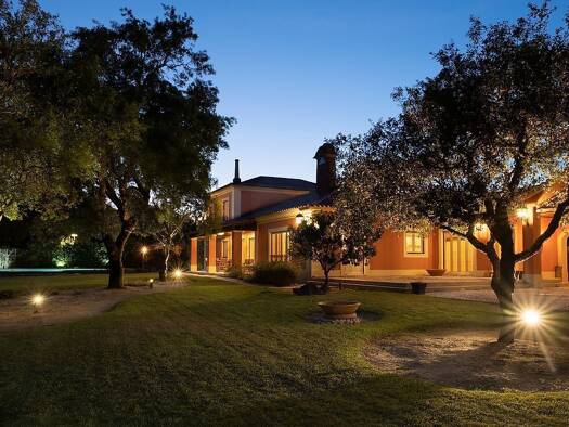 Villa zum Kauf 1.250.000 € 267 m² 2.226 m² Grundstück Santo Estêvão 2130
