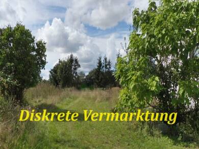 Einfamilienhaus zum Kauf 588.000 € 6 Zimmer 136 m² 559 m² Grundstück Siedlung Barth 18356