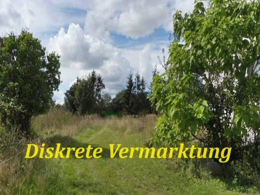 Einfamilienhaus zum Kauf 529.000 € 6 Zimmer 136 m² 559 m² Grundstück Tückmantel Barth 18356