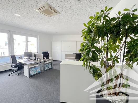 Bürofläche zur Miete 4.438 € 6 Zimmer 317 m² Bürofläche Franzosenhausweg 67 Kleinmünchen Linz 4030
