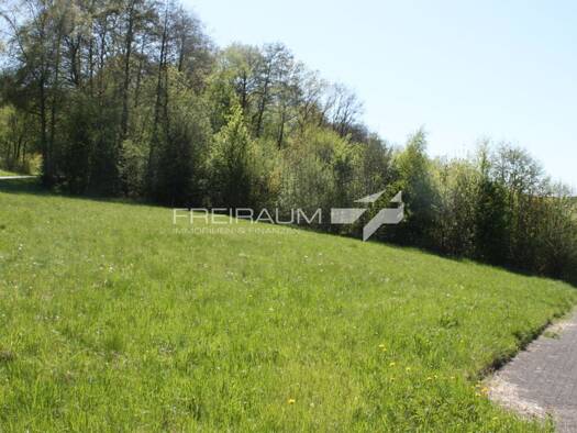 Grundstück zum Kauf 225.000 € 2.912 m² Grundstück Hainchen Netphen 57250