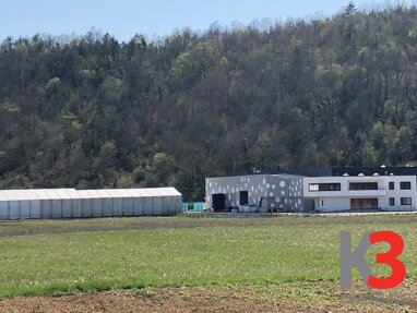 Gewerbegrundstück zum Kauf 376.000 € 8.000 m² Grundstück Pazin 52000