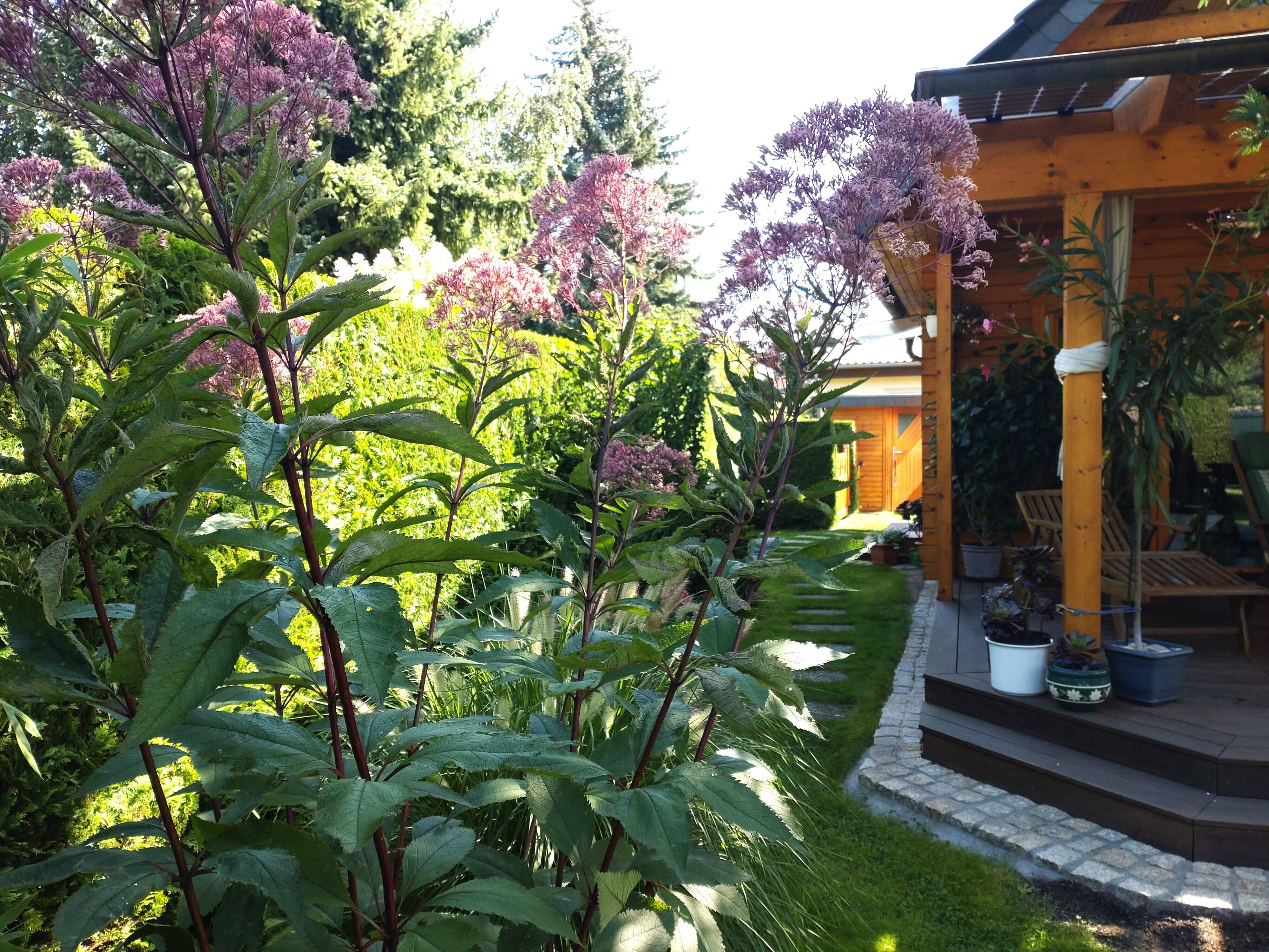 Property thumbnail 13