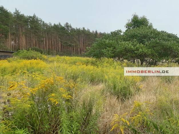 Grundstück zum Kauf 330.000 € 2.553 m² Grundstück Kablow Königs Wusterhausen 15712