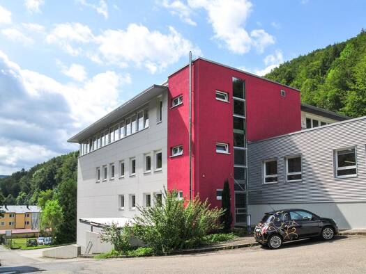 Bürofläche zur Miete provisionsfrei 180 m² Bürofläche teilbar ab 20 m² Mauchentalstraße 71 Bad Urach Bad Urach 72574