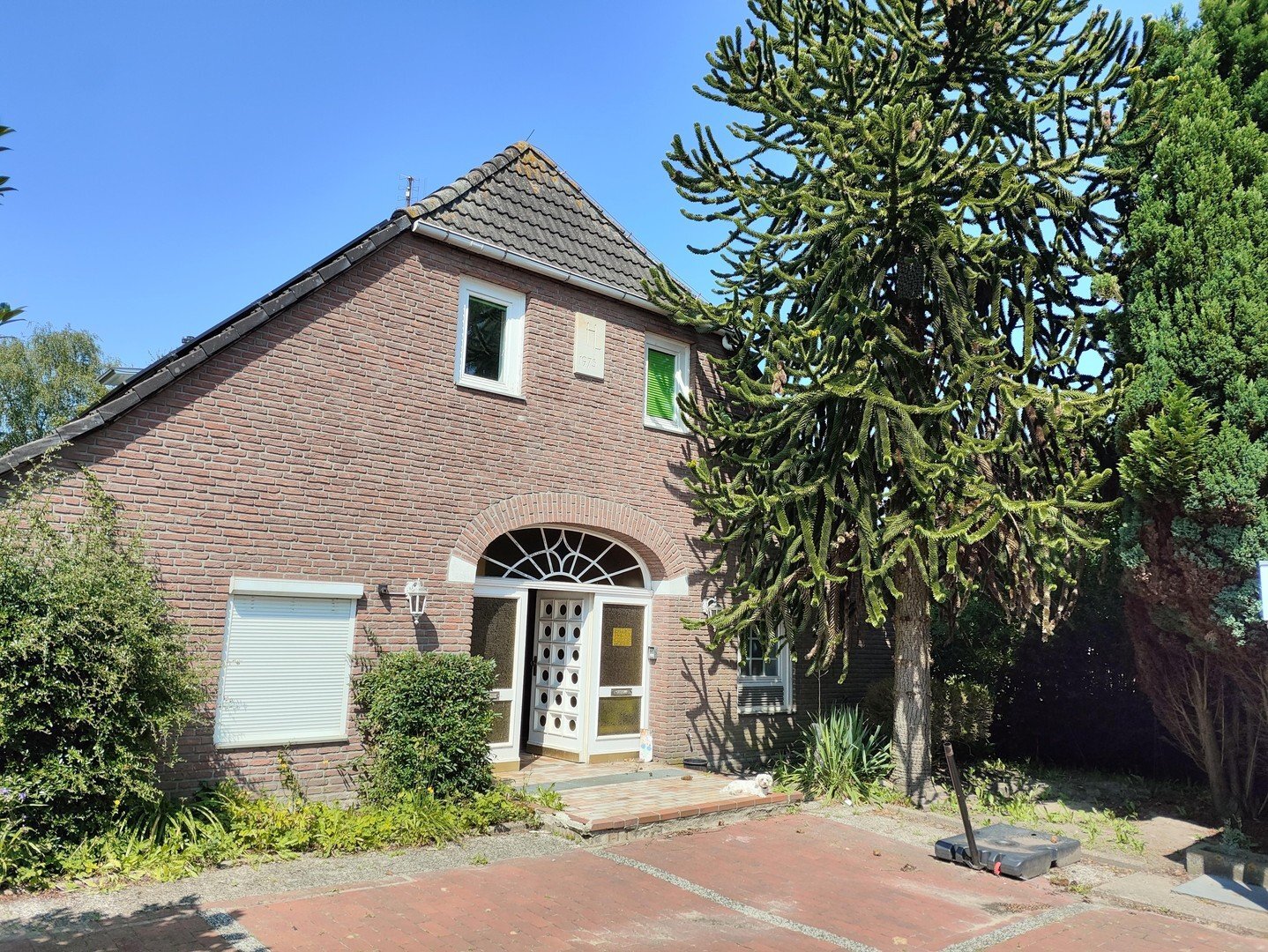 Bauernhaus zum Kauf provisionsfrei 389.000 € 7 Zimmer 250 m²<br/>Wohnfläche 2.204 m²<br/>Grundstück Kirchhammelwarden Brake 26919