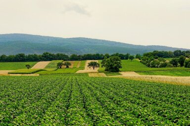 Landwirtschaftliche Fläche zum Kauf 32.882 m² Grundstück Parsberg Lupburg 92331