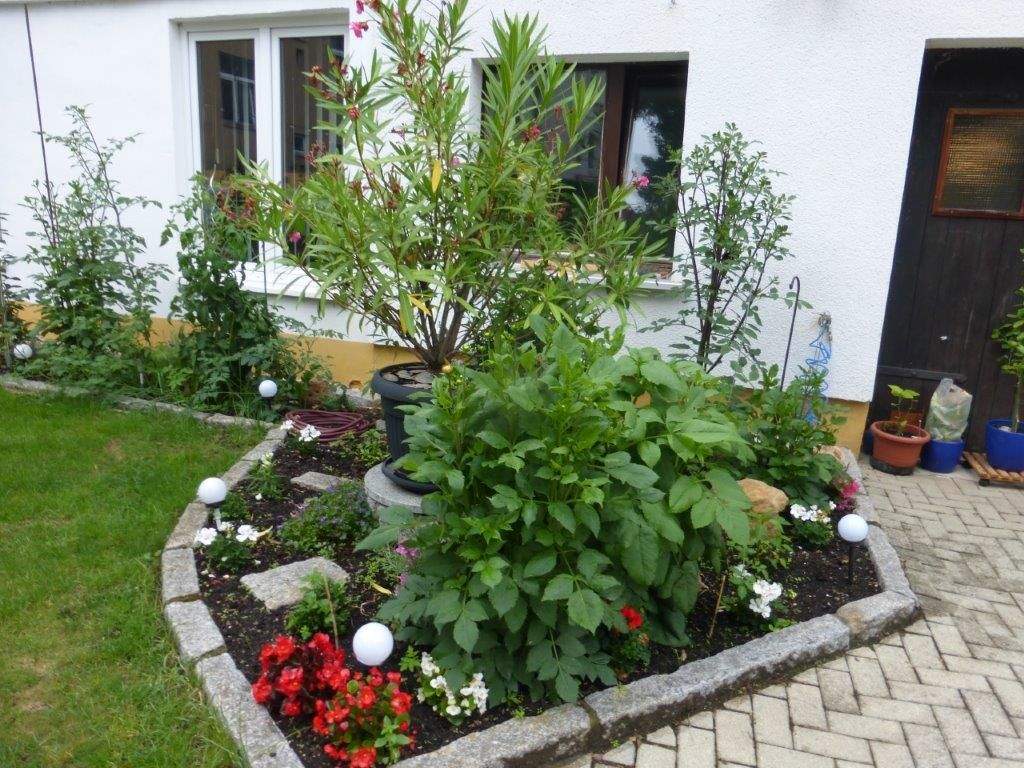 Immobilie in Zeitz - 5-Familienhaus in 06712 Zeitz - Bild 1