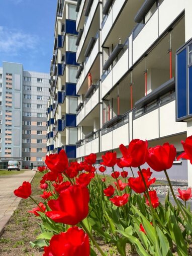 Wohnung zur Miete 352 € 2 Zimmer 50,3 m² 9. Geschoss Salvador-Allende-Straße 7 Neustädter Platz Magdeburg, 9. Etage links Mitte 39126