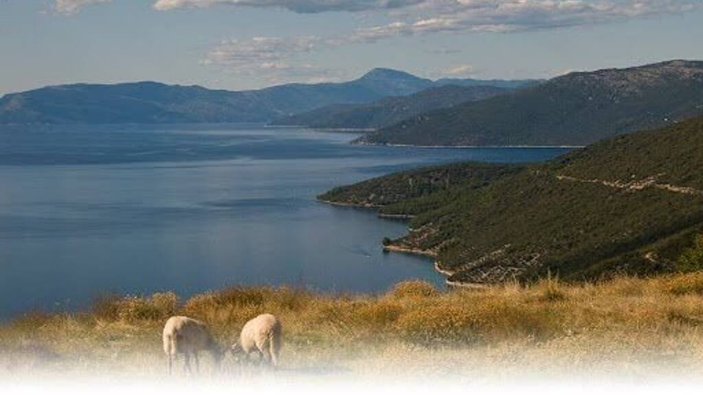 Land-/Forstwirtschaft zum Kauf 359.000 € Stivan 51556