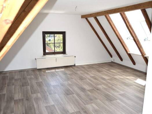 Studio zur Miete 315 € 1 Zimmer 39 m² 3. Geschoss frei ab 01.08.2026 Saalfeld 07318