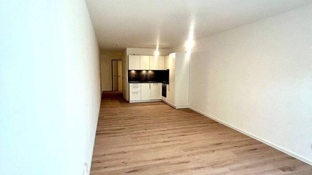 Wohnung zur Miete - Erstbezug 1.154 € 2 Zimmer 57 m² EG frei ab sofort Holbeinstrasse 17 Schweinau Nürnberg 90441
