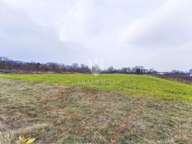 Land-/Forstwirtschaft zum Kauf 311.690 € Barban center 52207