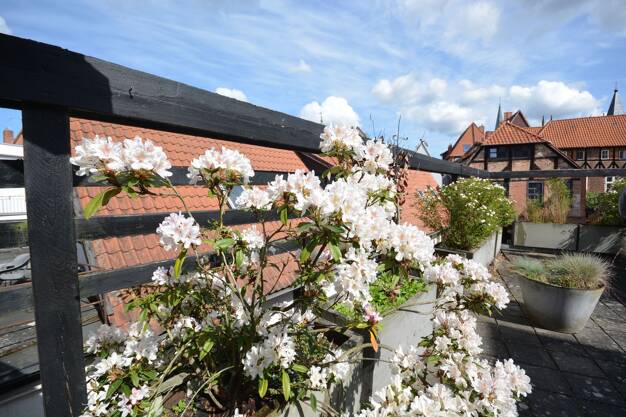 Wohnung zur Miete 850 € 3 Zimmer 98,3 m² Altstadt Lüneburg 21335