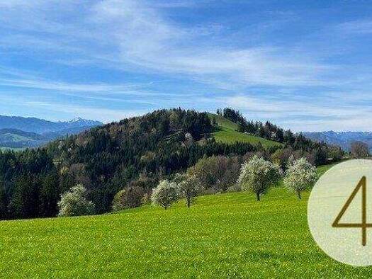 Grundstück zum Kauf 53.600 € 888 m² Grundstück St. Leonhard am Wald Perwarth 3263