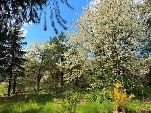 Grundstück zum Kauf provisionsfrei 149.000 € 3.900 m² Grundstück Dietersdorf Treuenbrietzen 14929