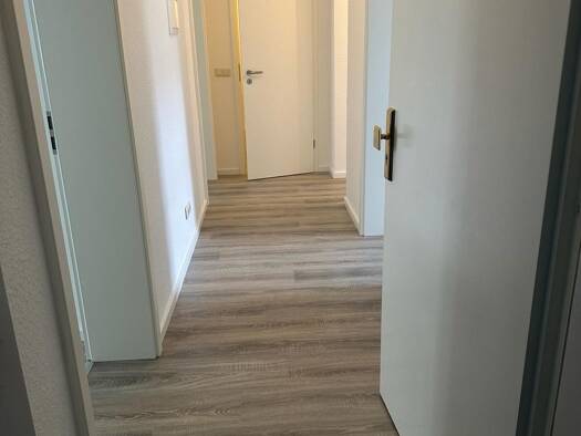 Wohnung zur Miete 830 € 3 Zimmer 72 m² Geschoss EG/4 frei ab sofort Krämpfervorstadt Erfurt 99085