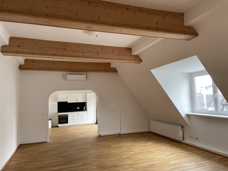 5,5-Zimmer-Dachgeschosswohnung, 158 m², Josefstadt, Josefstadt
