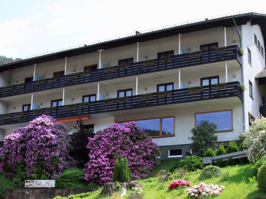 Hotel zum Kauf 1.150.000 € 18 Zimmer 2.706 m² Grundstück Bad Wildbad Bad Wildbad 75323