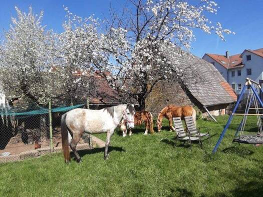 Einfamilienhaus zum Kauf 395.000 € 5 Zimmer 152 m² 1.339 m² Grundstück Schwanheim Schönbrunn / Schwanheim 69436