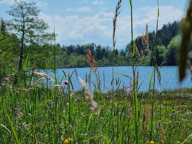 Grundstück zum Kauf 495.000 € 950 m² Grundstück Velden 9220