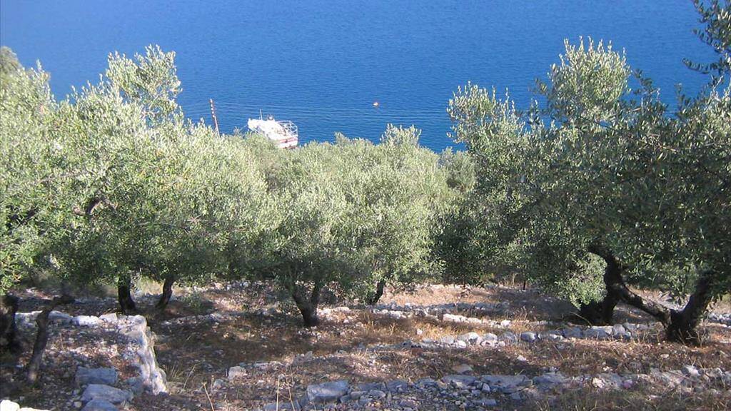 Land-/Forstwirtschaft zum Kauf 450.000 € 580 m² Grundstück Ionische Inseln