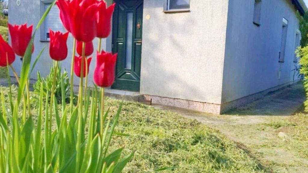 Haus zum Kauf provisionsfrei 74.000 € 2 Zimmer 50 m² 740 m² Grundstück Bázakerettye 8887