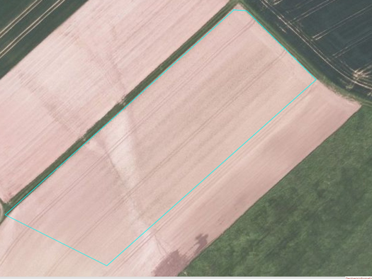 Landwirtschaftliche Fläche zum Kauf 25.000 € 10.960 m² Grundstück Hinter der Heide Gransdorf 54533