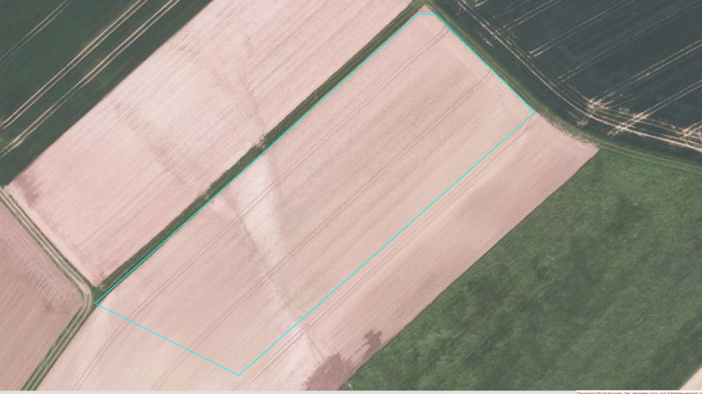 Landwirtschaftliche Fläche zum Kauf 25.000 € 10.960 m² Grundstück Hinter der Heide Gransdorf 54533