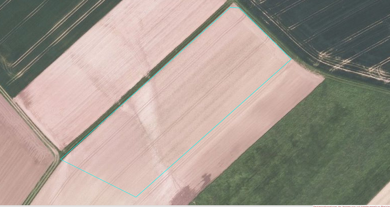 Landwirtschaftliche Fläche zum Kauf 25.000 € 10.960 m² Grundstück Hinter der Heide Gransdorf 54533