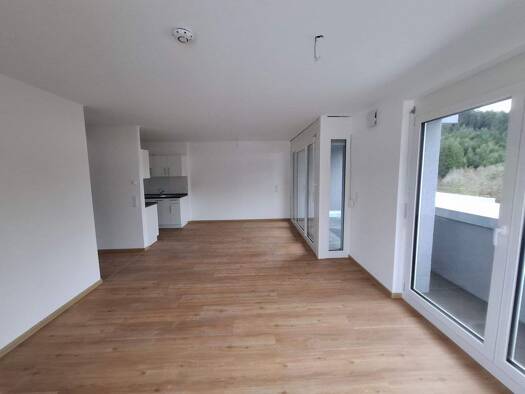 Penthouse zur Miete - Erstbezug 700 € 2 Zimmer 56,4 m² frei ab sofort Salomon-Siedle-Straße 3 Stadtgebiet Furtwangen im Schwarzwald 78120