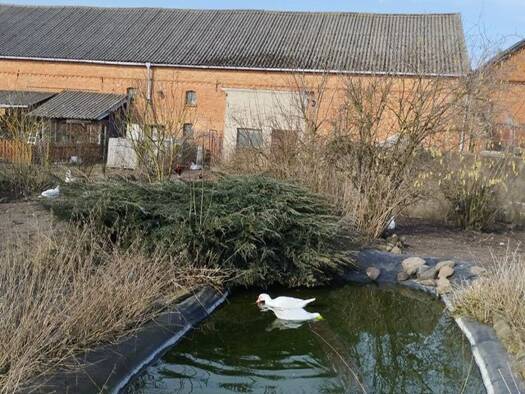 Einfamilienhaus zum Kauf 289.000 € 7 Zimmer 160 m² 2.650 m² Grundstück Rindtorf 39596