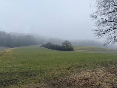 Land-/Forstwirtschaft zum Kauf 220.000 € 26.100 m² Grundstück Zusmarshausen Zusmarshausen 86441