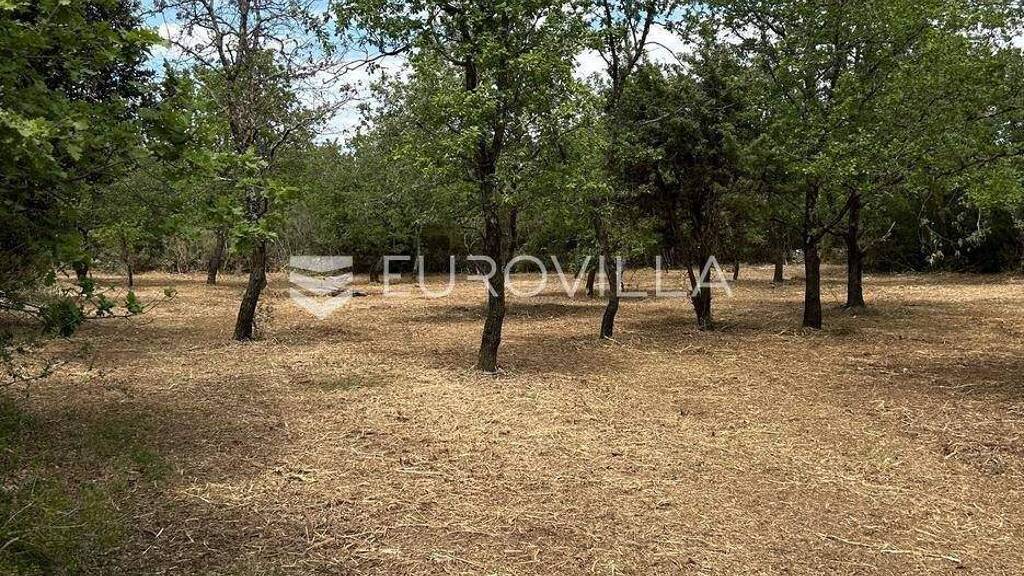 Land-/Forstwirtschaft zum Kauf 105.000 € Peroj Vodnjan 52212