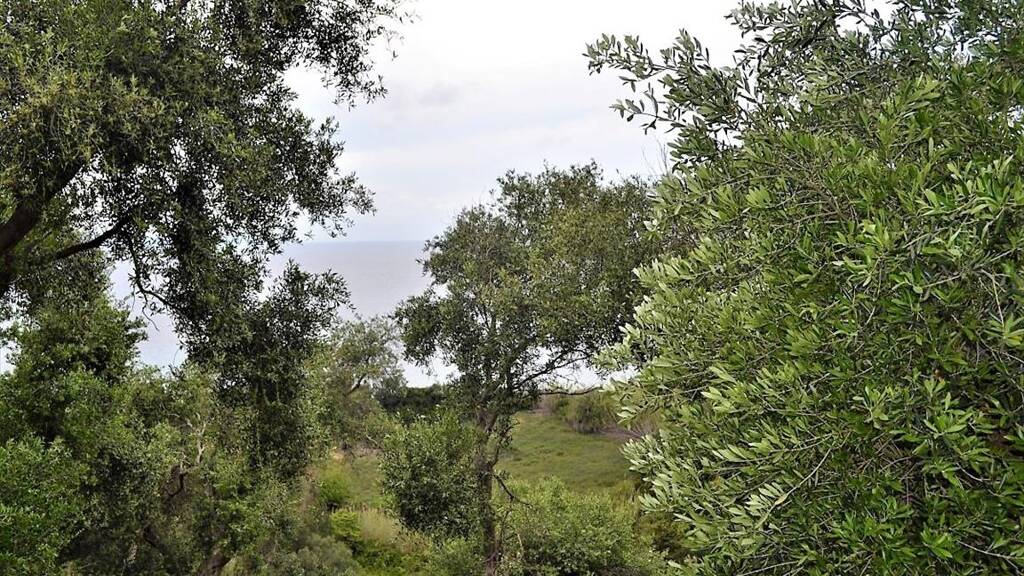 Land-/Forstwirtschaft zum Kauf 500.000 € 5.000 m² Grundstück Korfu
