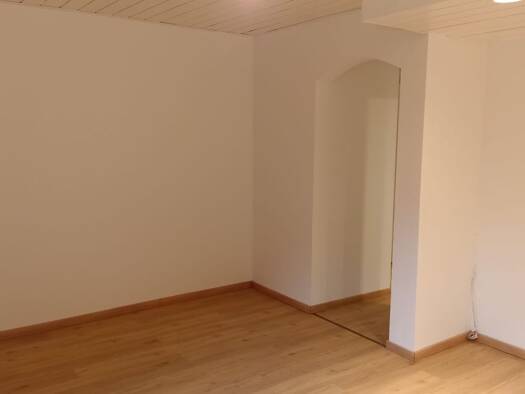 Wohnung zur Miete 500 € 1,5 Zimmer 47 m² frei ab 01.11.2026 Söllingen Rheinmünster 77836