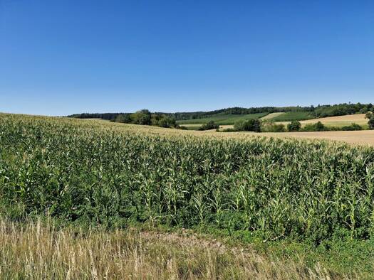 Land-/Forstwirtschaft zum Kauf 19.408 m² Grundstück Niederhornbach Pfeffenhausen 84076