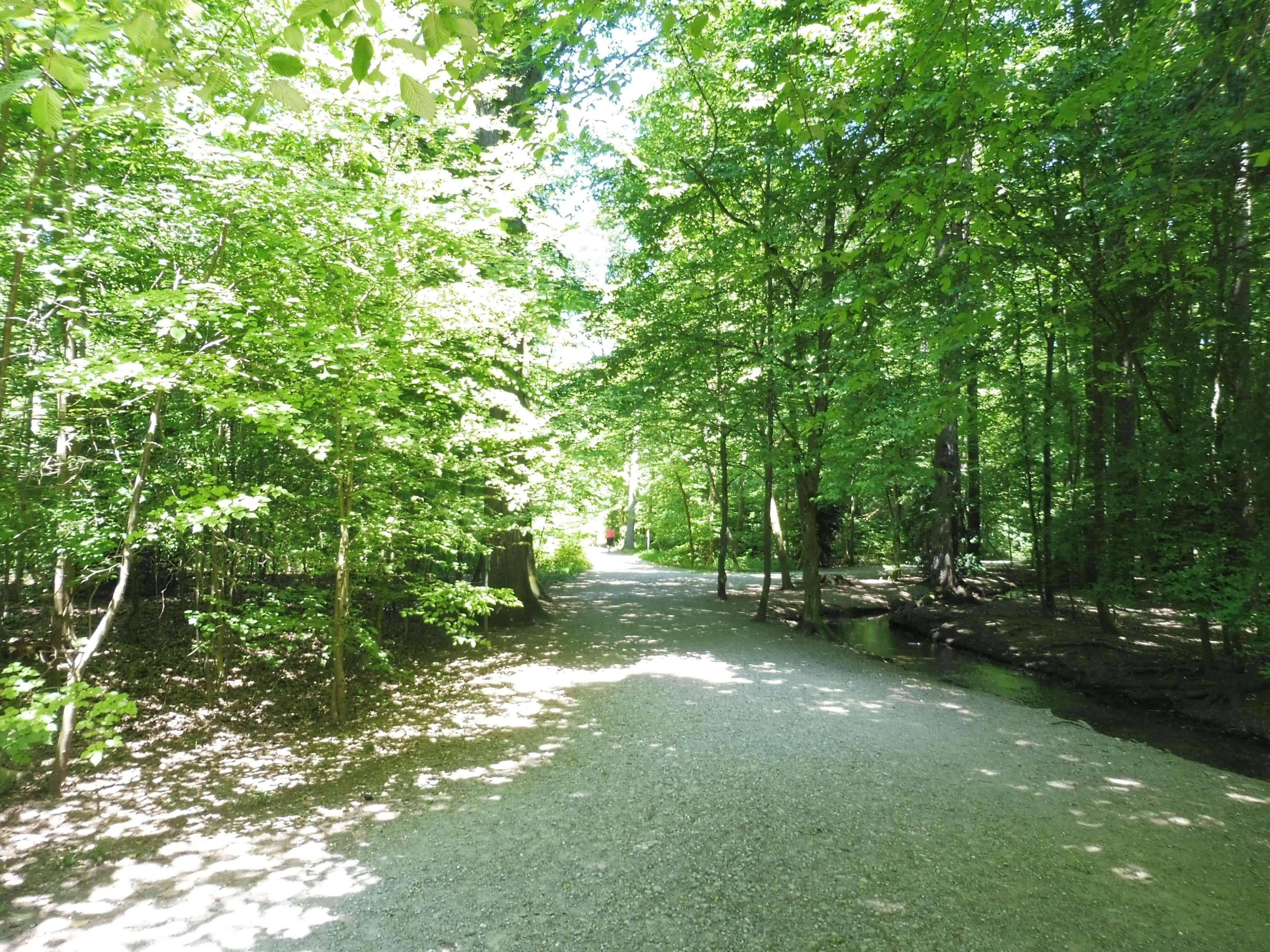 Property thumbnail 13