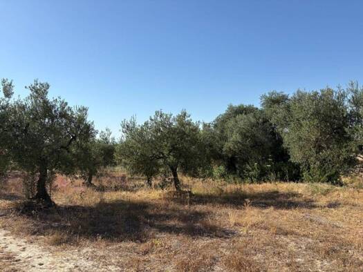 Acker-/Waldstück zum Kauf 49.000 € Sanlúcar la Mayor 41800