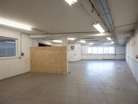 Lagerhalle zur Miete 9,04 € 265,5 m² Lagerfläche Gewerbepark 8 Mils 6068