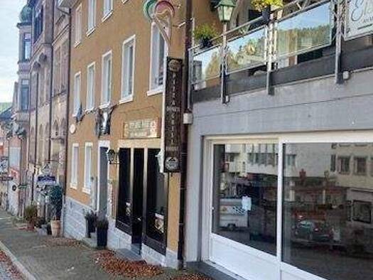 Sonstiges zum Kauf als Kapitalanlage geeignet 800.000 € 313 m² Grundstück Hauptstraße 65 Stadtgebiet Triberg im Schwarzwald 78098