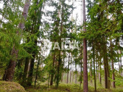 Grundstück zum Kauf 49.440 € 4.017 m² Grundstück Skulte 4025