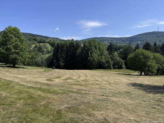 Land-/Forstwirtschaft zum Kauf 69.000 € 27.451 m² Grundstück Kerschbaum Grattersdorf 94541
