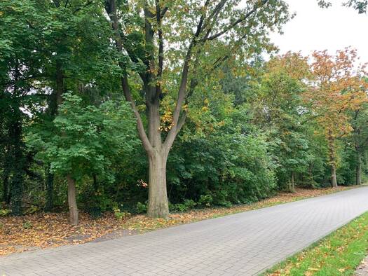 Grundstück zum Kauf 992 m² Grundstück Hatterwüsting II Hatten 26209